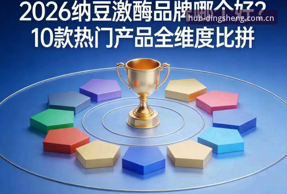 3个核心维度深度解析：鼎盛新版功能哪个好？从用户真实反馈看2026版本升级方向
